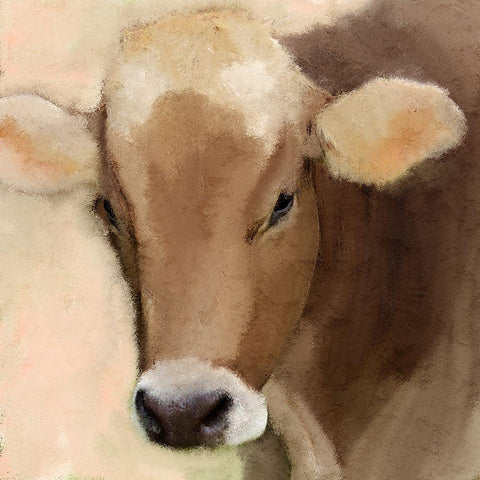 Country Fall 2 White Modern Wood Framed Art Print with Double Matting by Kimberly, Allen