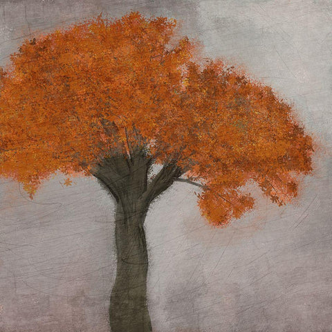 Fall Square 1 White Modern Wood Framed Art Print with Double Matting by Kimberly, Allen