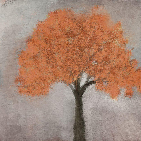 Fall Square 2 Black Modern Wood Framed Art Print by Kimberly, Allen