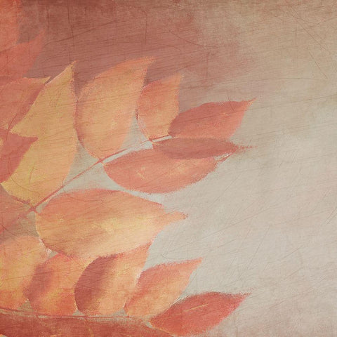 Fall Colors 1 White Modern Wood Framed Art Print by Kimberly, Allen