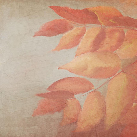 Fall Colors 2 Gold Ornate Wood Framed Art Print with Double Matting by Kimberly, Allen