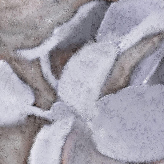 Image Only