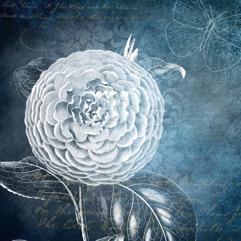 White Bloom 1 Black Modern Wood Framed Art Print with Double Matting by Kimberly, Allen