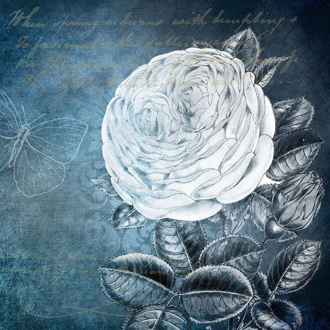 White Bloom 2 White Modern Wood Framed Art Print by Kimberly, Allen