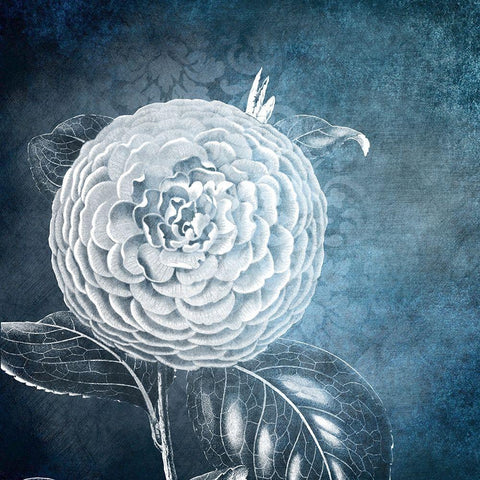 White Bloom 1 Black Ornate Wood Framed Art Print with Double Matting by Kimberly, Allen