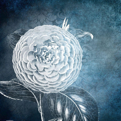 White Bloom 1 White Modern Wood Framed Art Print by Kimberly, Allen