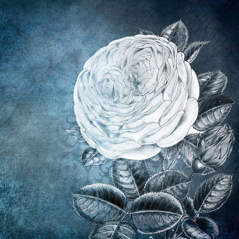 White Bloom 2 White Modern Wood Framed Art Print with Double Matting by Kimberly, Allen