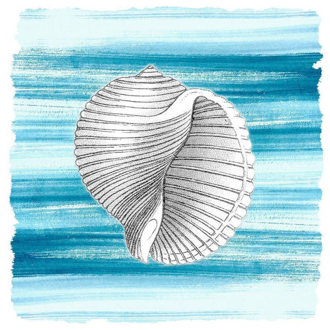 Coastal Brushstroke 1 Black Modern Wood Framed Art Print with Double Matting by Kimberly, Allen