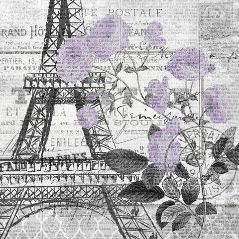 Paris Script Purple 1 Black Modern Wood Framed Art Print with Double Matting by Kimberly, Allen