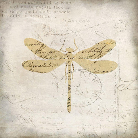 Dragonfly Letters 1 White Modern Wood Framed Art Print by Kimberly, Allen