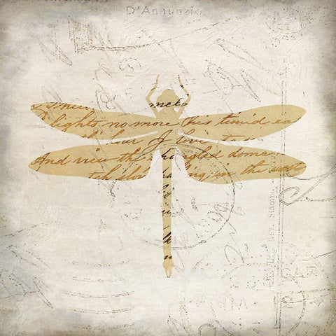 Dragonfly Letters 2 Black Ornate Wood Framed Art Print with Double Matting by Kimberly, Allen