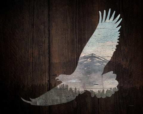 Lodge Soaring Bird Black Ornate Wood Framed Art Print with Double Matting by Louise, Gigi