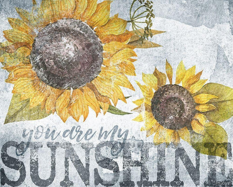 Sunshine Sunflower White Modern Wood Framed Art Print with Double Matting by Louise, Gigi