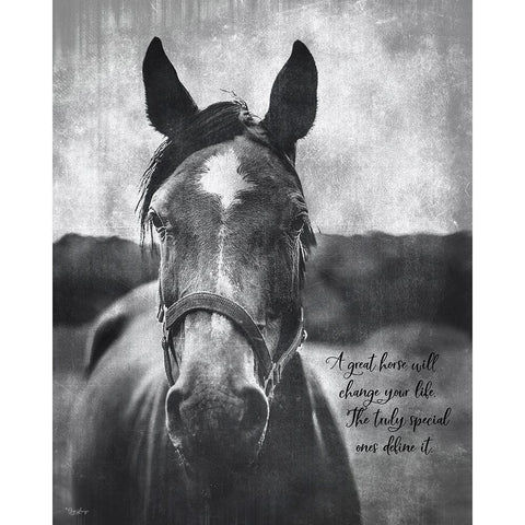 Great Horse Black Modern Wood Framed Art Print with Double Matting by Louise, Gigi