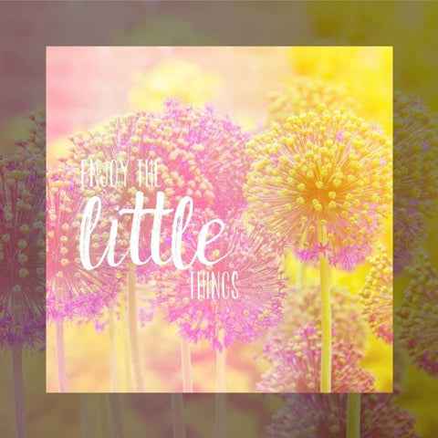 Little Things White Modern Wood Framed Art Print by Louise, Gigi