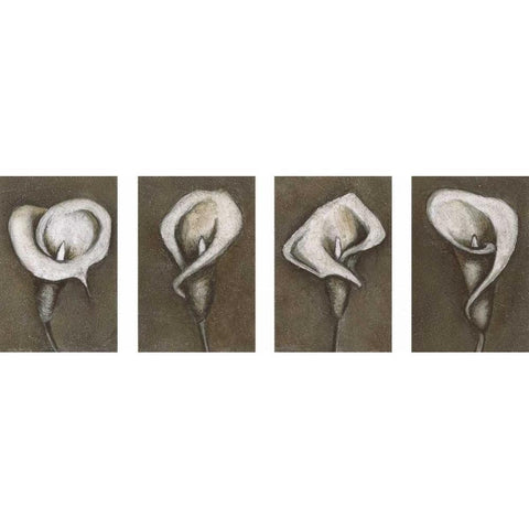 Flower Set Black Modern Wood Framed Art Print with Double Matting by Emery, Kristin