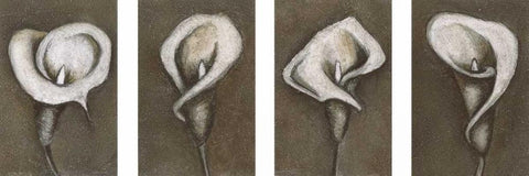 Flower Set Black Ornate Wood Framed Art Print with Double Matting by Emery, Kristin