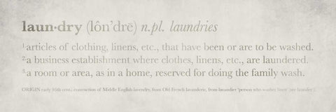 Definitions - Laundry I Black Ornate Wood Framed Art Print with Double Matting by Emery, Kristin