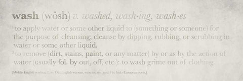 Definitions - Wash I Black Ornate Wood Framed Art Print with Double Matting by Emery, Kristin