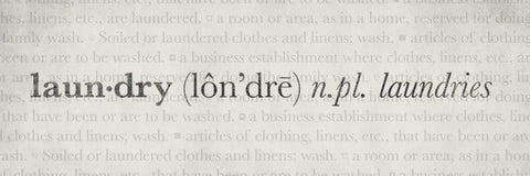 Definitions - Laundry II Black Ornate Wood Framed Art Print with Double Matting by Emery, Kristin