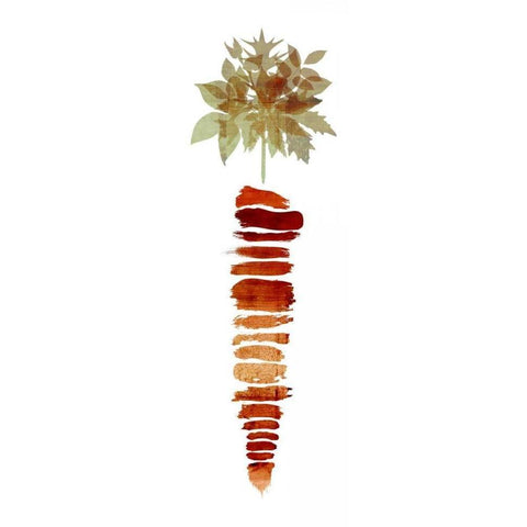 Carrot I Black Modern Wood Framed Art Print with Double Matting by Emery, Kristin