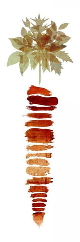 Carrot I White Modern Wood Framed Art Print with Double Matting by Emery, Kristin