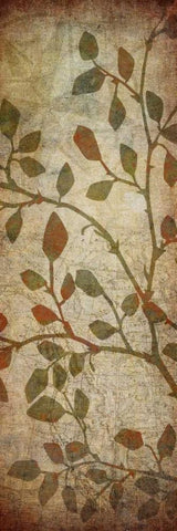 Leaves Map I White Modern Wood Framed Art Print with Double Matting by Emery, Kristin