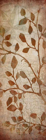 Leaves Map II White Modern Wood Framed Art Print with Double Matting by Emery, Kristin