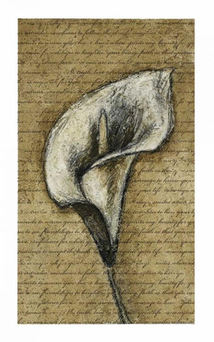 Lily Left White Modern Wood Framed Art Print with Double Matting by Emery, Kristin
