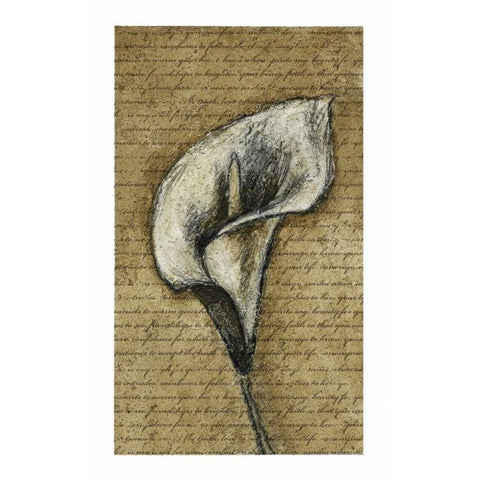Lily Left White Modern Wood Framed Art Print by Emery, Kristin