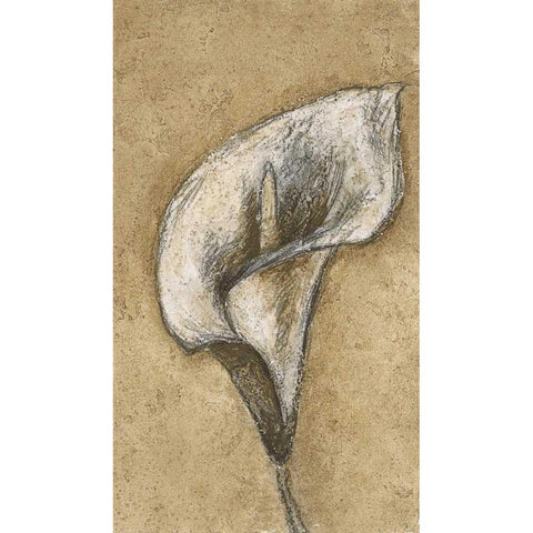 Lily I Black Modern Wood Framed Art Print by Emery, Kristin