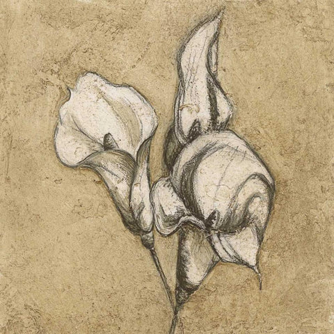 Calla Lily III Black Modern Wood Framed Art Print by Emery, Kristin