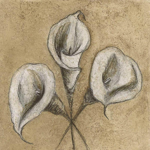 Calla Lily IV Black Ornate Wood Framed Art Print with Double Matting by Emery, Kristin