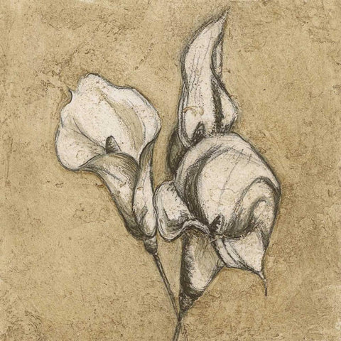 Calla Lily I Black Modern Wood Framed Art Print by Emery, Kristin