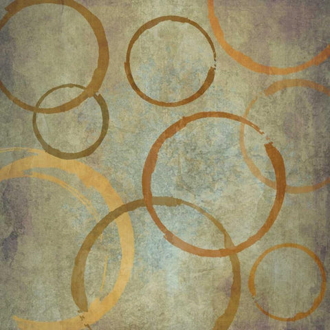 Vintage Circles II Black Ornate Wood Framed Art Print with Double Matting by Emery, Kristin