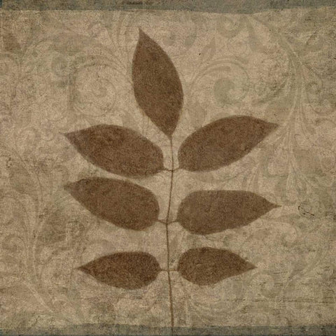 Vintage Leaves IV Black Modern Wood Framed Art Print with Double Matting by Emery, Kristin