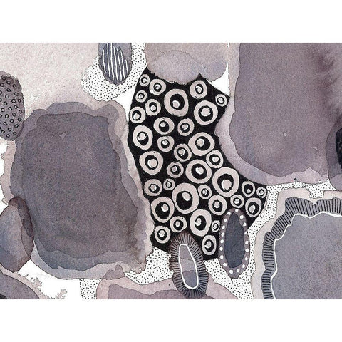 Close Evolutions 5 Black Modern Wood Framed Art Print with Double Matting by Rupe, Kim