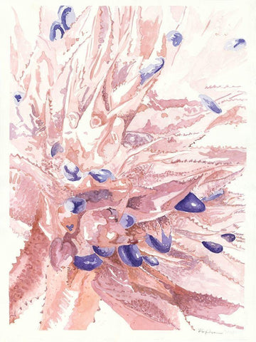 Cactus Bloom White Modern Wood Framed Art Print with Double Matting by Rupe, Kim