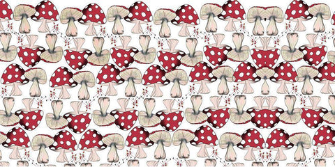 Crowd Of Mushrooms 1 Black Ornate Wood Framed Art Print with Double Matting by Elizabeth, Sara