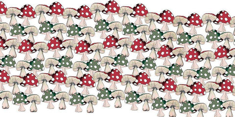 Crowd Of Mushrooms 2 Black Ornate Wood Framed Art Print with Double Matting by Elizabeth, Sara