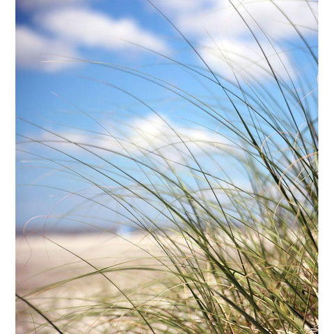 Beautiful Day White Modern Wood Framed Art Print by Colberg, Lisa