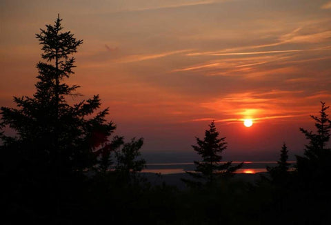 Somewhere In The Distance 1 Black Ornate Wood Framed Art Print with Double Matting by Colberg, Lisa