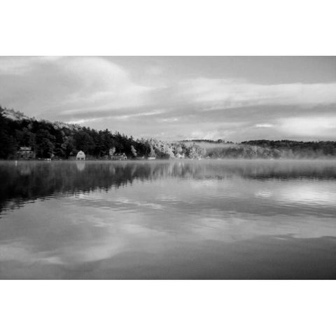 Reflections of Summer BW 2B White Modern Wood Framed Art Print by Grey, Jace