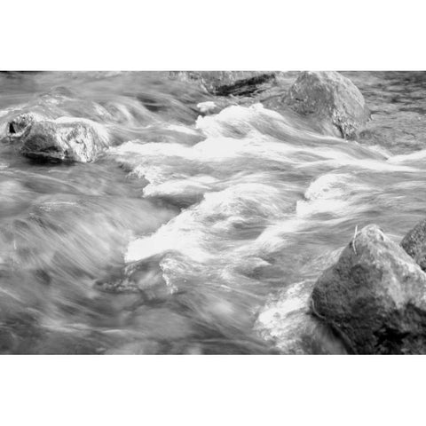 In Motion BW 2B White Modern Wood Framed Art Print by Grey, Jace