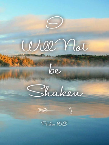 Not Be Shaken Black Ornate Wood Framed Art Print with Double Matting by Colberg, Lisa