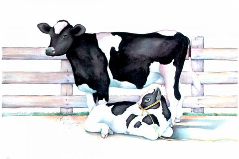Big Moo Lil Moo White Modern Wood Framed Art Print with Double Matting by Korsgaden, Laurie