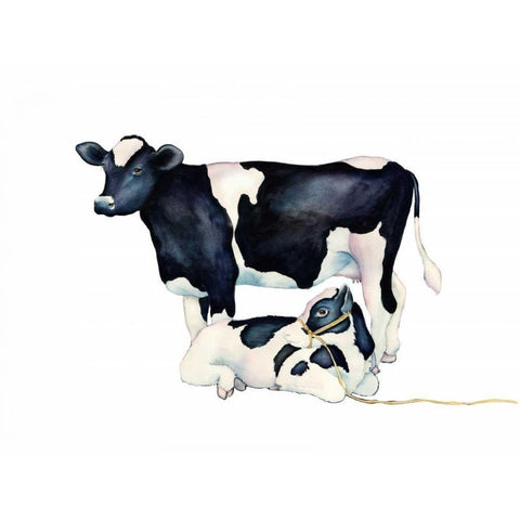 Mama Moo Baby Moo Black Modern Wood Framed Art Print with Double Matting by Korsgaden, Laurie
