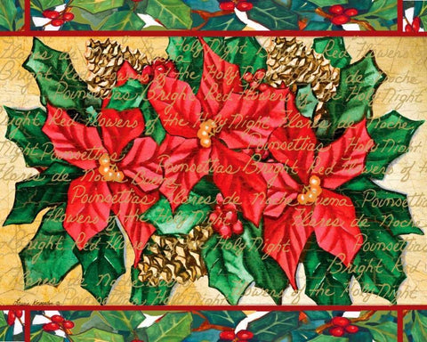 Poinsettas White Modern Wood Framed Art Print with Double Matting by Korsgaden, Laurie