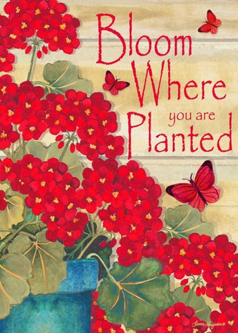 Bloom Where You Are Planted White Modern Wood Framed Art Print with Double Matting by Korsgaden, Laurie