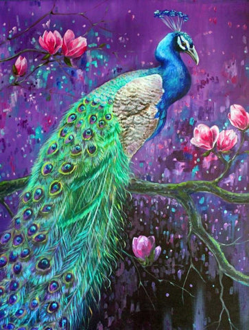 Botanical Peacock 1 Black Ornate Wood Framed Art Print with Double Matting by Colberg, Lisa